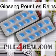 Ginseng For Kidney 23